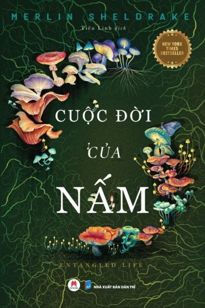 Cuộc Đời Của Nấm